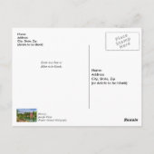 ウォー・イーグル・ミル 夏の感謝のポストカード ポストカード (裏面)