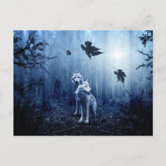ウオカミの森のはがき ポストカード (正面)