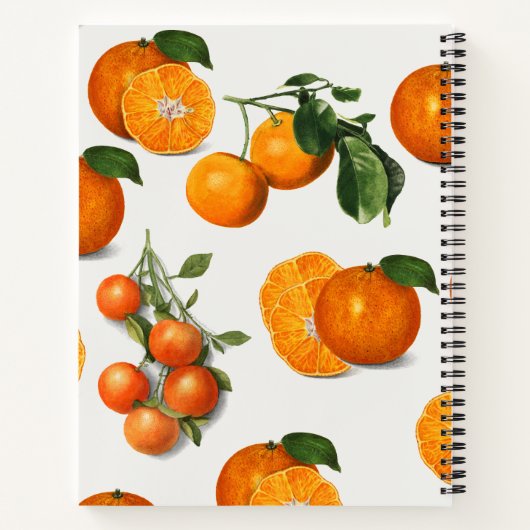 ウオータカラーヴィンテージオレンジシトラスレシピ ノートブック (裏面)