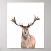 ウオーターカラーウッドランド動物少年の女の子ルームデコール ポスター (正面)