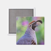 ウカラフルズラ マグネット (正面/裏面)