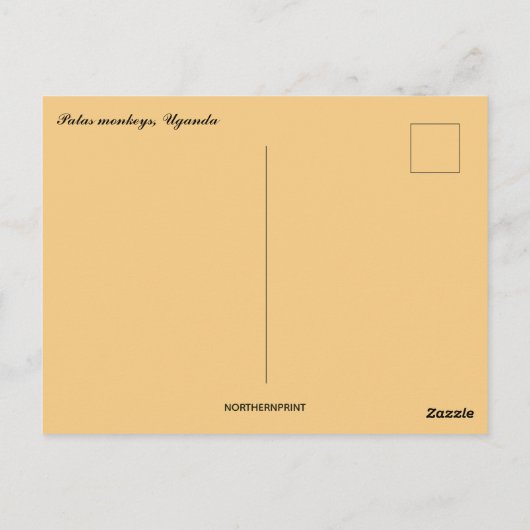 ウガンダのパタザル ポストカード (裏面)