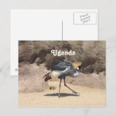 ウガンダクリステッドクレーン ポストカード (正面/裏面)