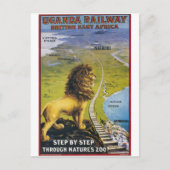 ウガンダライオンワイルドライフヴィンテージ旅行はがき ポストカード (正面)