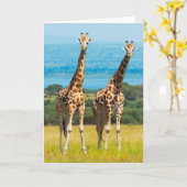 ウガンダ，サバンナのキリン カード (黄色い花)