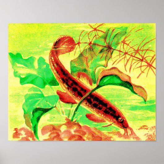 ウキゴリのプリント ポスター (正面)