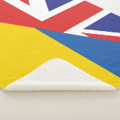 ウクライナに対する英国の支持 シェルパブランケット (3/4)