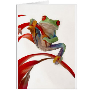 ウクライナのバランスをとる行為