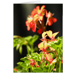 ウクライナの花