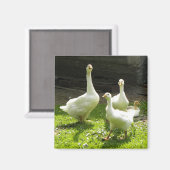 ウクライナゲーゼ マグネット (正面/裏面)