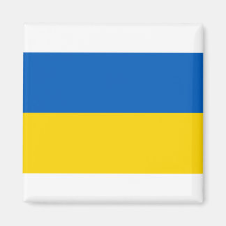 ウクライナ国к旗раїн マグネット