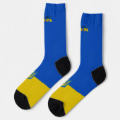 ウクライナ国旗のコート・オブ・アーム ソックス (左)