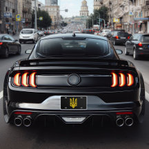 ウクライナ国旗の記号Volodymyrゼレンスキーウクライナ