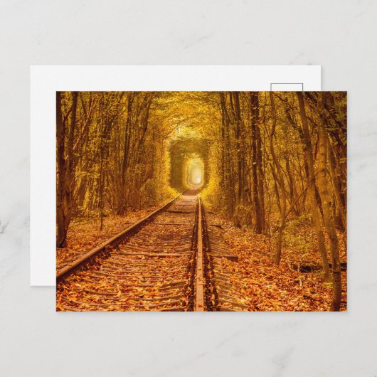 ウクライナ森林鉄道トンネルの愛の風景ポー ポストカード (正面/裏面)
