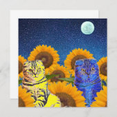 ウクライナ猫 (正面/裏面)