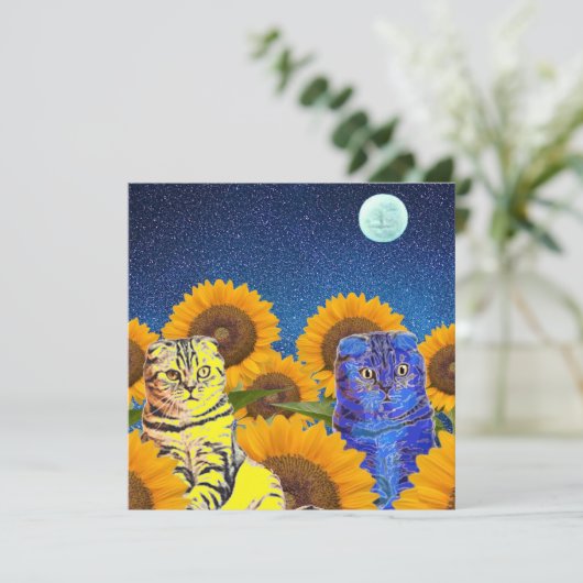 ウクライナ猫 (スタンド正面)