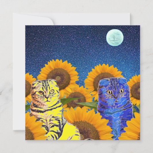 ウクライナ猫 (正面)