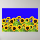 ウクライナ自由平和 – ウクライナ国旗のひまわり ポスター (正面)