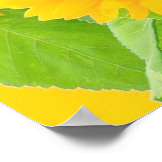 ウクライナ自由平和 – ウクライナ国旗のひまわり ポスター (角)