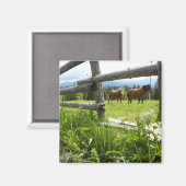 ウクライナ：カルパス山脈 マグネット (正面/裏面)