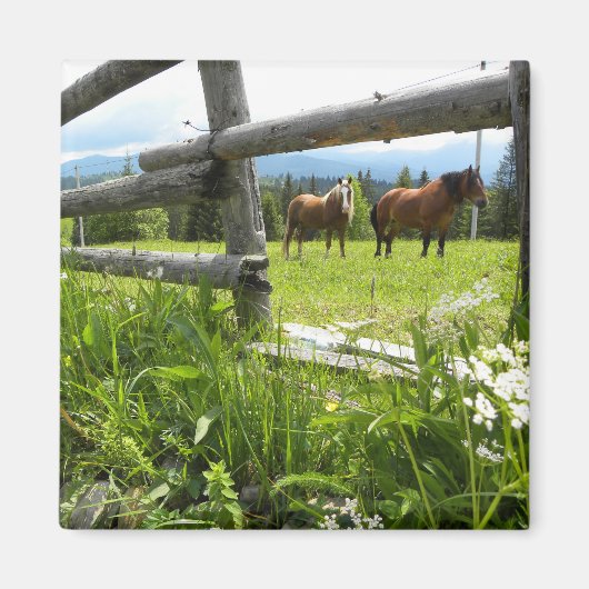 ウクライナ：カルパス山脈 マグネット (正面)