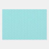 ウクライナ(昆虫)オオカバマダラ、モナークラッピング紙セット ラッピングペーパーシート (正面2)