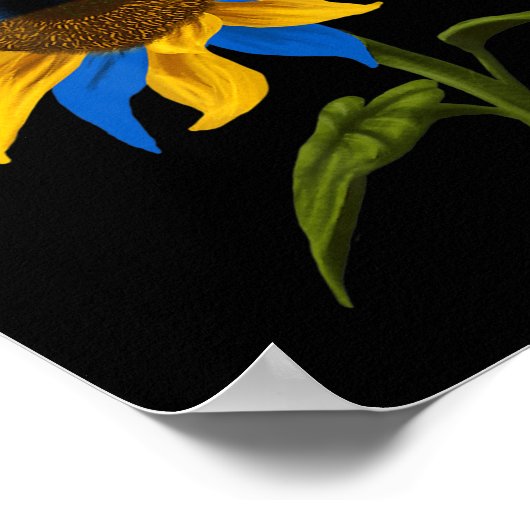 ウクレインのヒマワリのウクライナ国旗のスタンド ポスター (角)