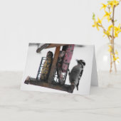 ウグイス カード (黄色い花)