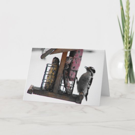 ウグイス カード (正面)