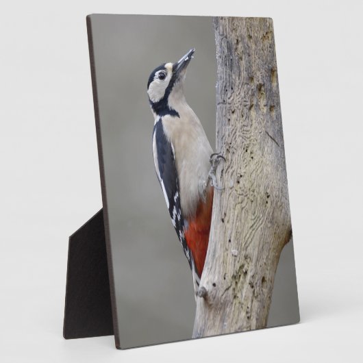 ウグイス フォトプラーク (側面)