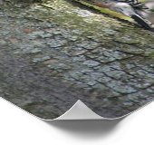 ウグイス ポスター (角)