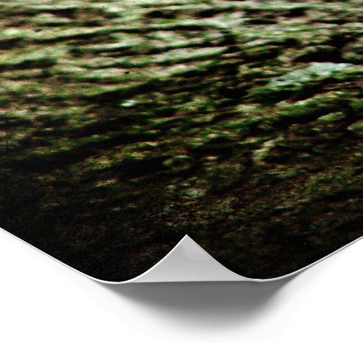 ウグイス ポスター (角)