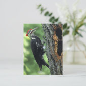 ウグイス ポストカード (スタンド正面)