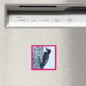 ウグイス マグネット (インサイチュ (食洗機))