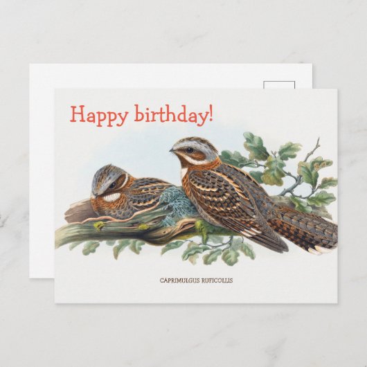 ウグサ ポストカード (正面/裏面)