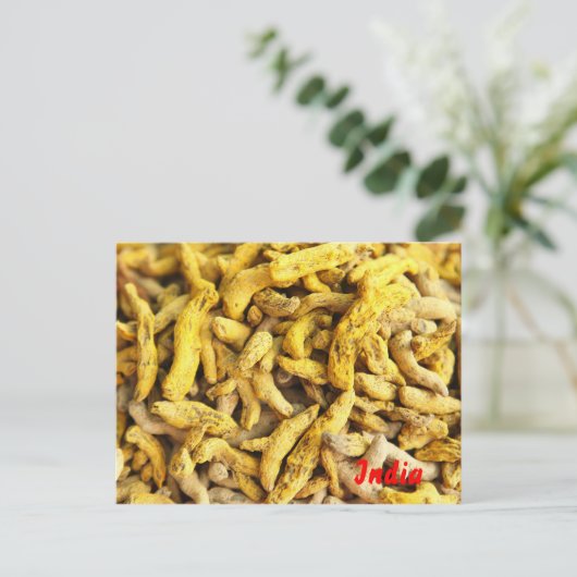 ウコン根 ポストカード (スタンド正面)