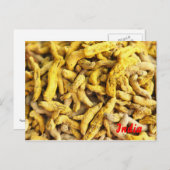 ウコン根 ポストカード (正面/裏面)