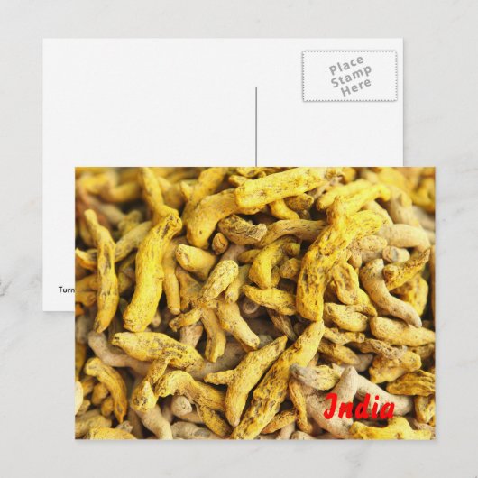 ウコン根 ポストカード (正面/裏面)