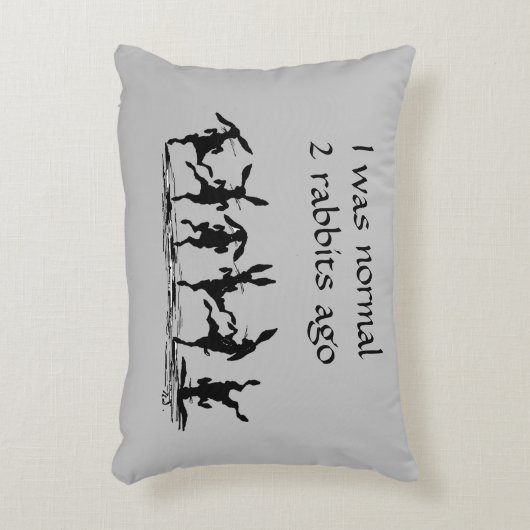 ウサギおもしろいユーモア化粧枕 アクセントクッション (正面(垂直))