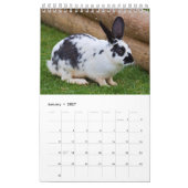 ウサギとウサギのカレンダー2025 カレンダー (1月 2027)