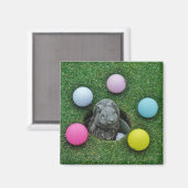 ウサギとカラーゴルフボール マグネット (正面/裏面)