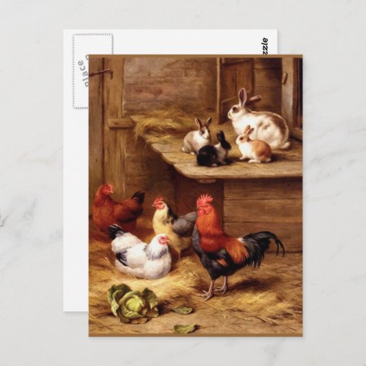 ウサギとニワトリとメダイカの農場の動物たち 兎 ポストカード (正面/裏面)