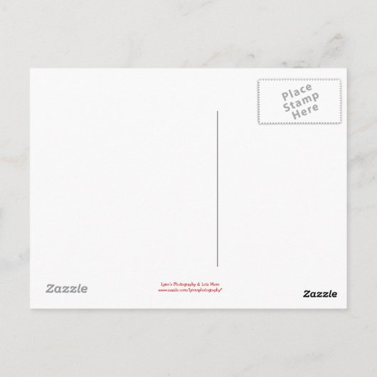 ウサギとハート – はがき (裏面)