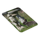 ウサギとバニーの像のバードフィーダー マグネット (右側)
