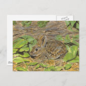 ウサギのはがき ポストカード (正面/裏面)