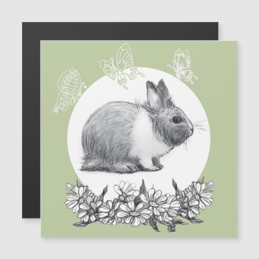 ウサギのふわふわ。鉛筆スケッチ (正面/裏面)