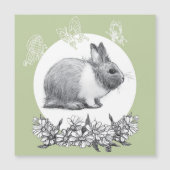 ウサギのふわふわ。鉛筆スケッチ (正面)