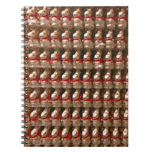 ウサギのイチジク ノートブック (正面)