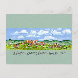 ウサギのウサギが雲を見るおもしろい水彩画    ポストカード