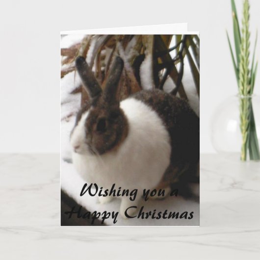 ウサギのクリスマスカード シーズンカード (正面)